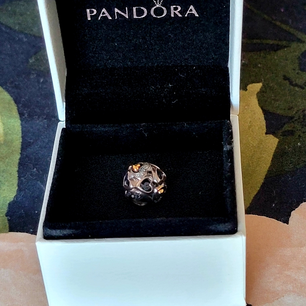 Pandora Bracelet Charm